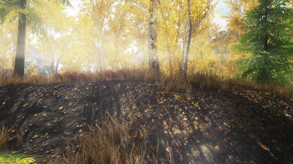 The Elder Scrolls V: Skyrim