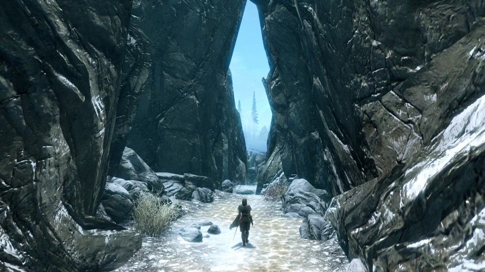 The Elder Scrolls V: Skyrim