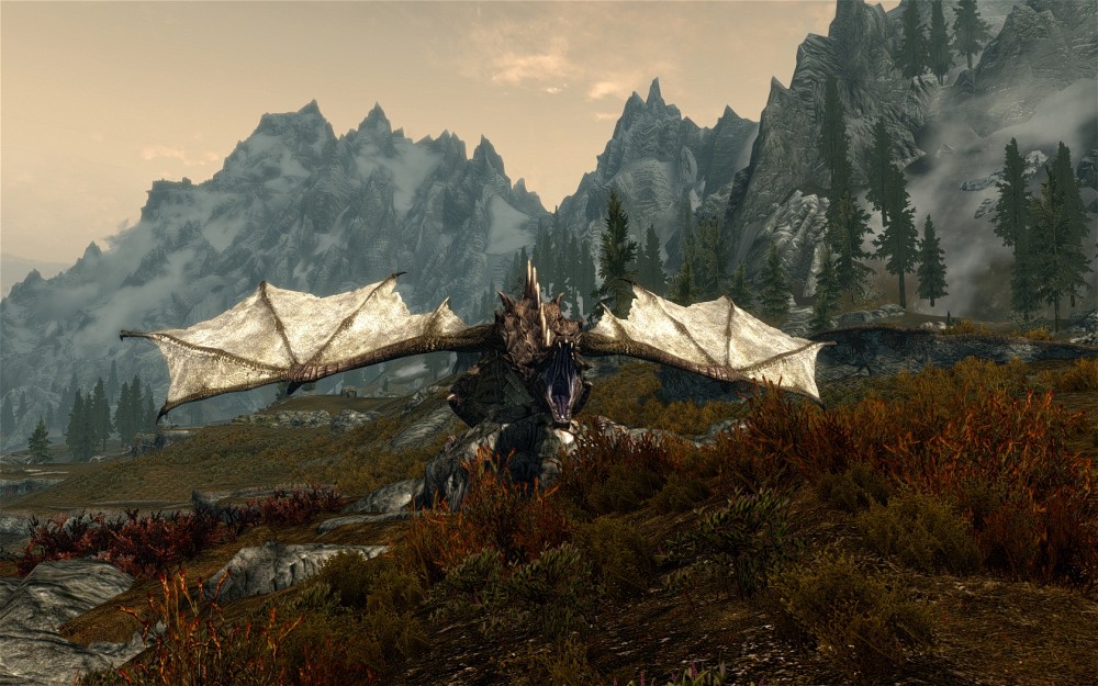 The Elder Scrolls V: Skyrim