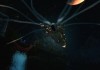 The Elder Scrolls V: Skyrim