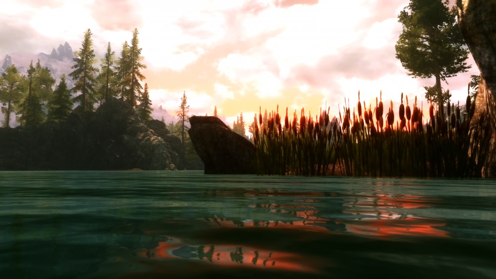The Elder Scrolls V: Skyrim