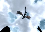 The Elder Scrolls V: Skyrim