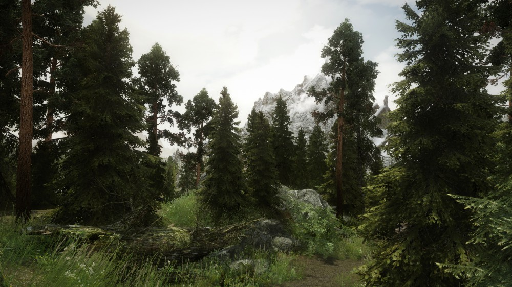The Elder Scrolls V: Skyrim