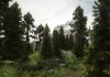 The Elder Scrolls V: Skyrim