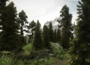 The Elder Scrolls V: Skyrim