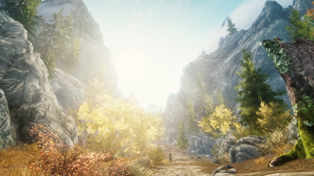 The Elder Scrolls V: Skyrim