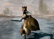The Elder Scrolls V: Skyrim