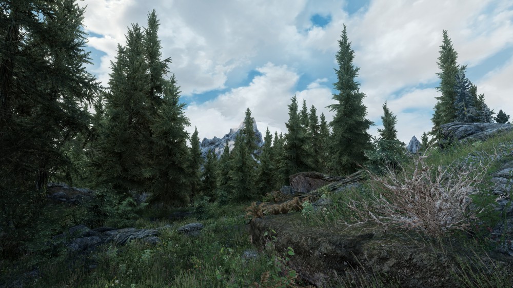 The Elder Scrolls V: Skyrim