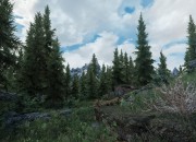 The Elder Scrolls V: Skyrim