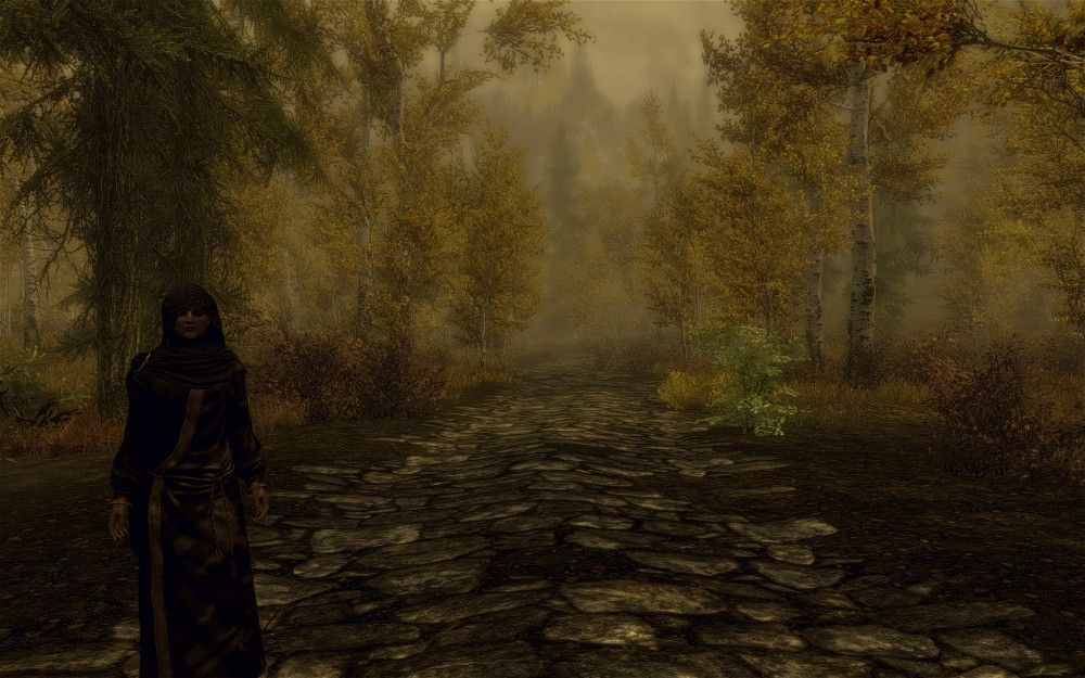 The Elder Scrolls V: Skyrim