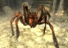 The Elder Scrolls V: Skyrim