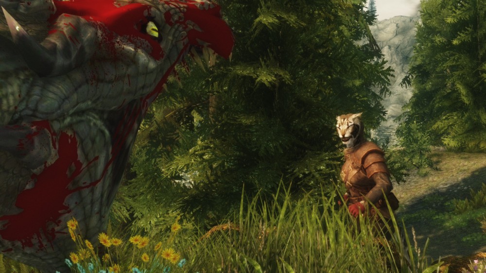 The Elder Scrolls V: Skyrim