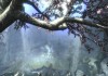The Elder Scrolls V: Skyrim