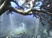 The Elder Scrolls V: Skyrim