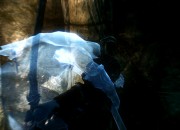 The Elder Scrolls V: Skyrim