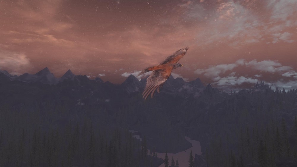 The Elder Scrolls V: Skyrim