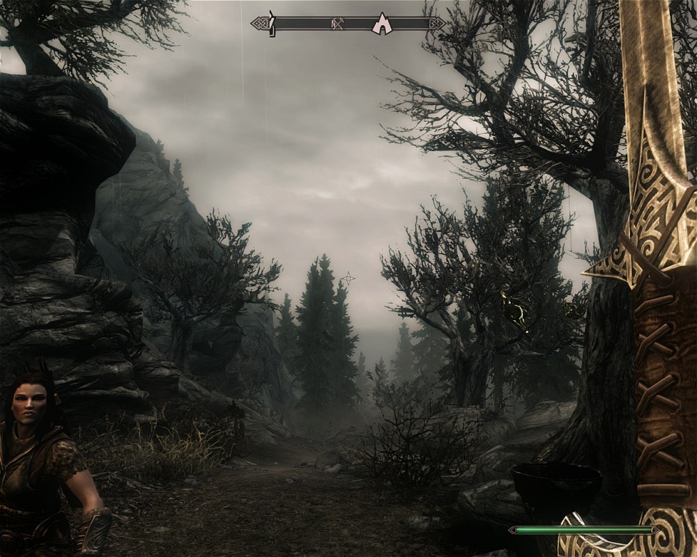The Elder Scrolls V: Skyrim