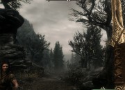 The Elder Scrolls V: Skyrim