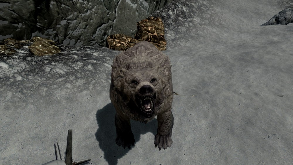 The Elder Scrolls V: Skyrim