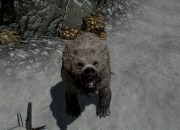 The Elder Scrolls V: Skyrim
