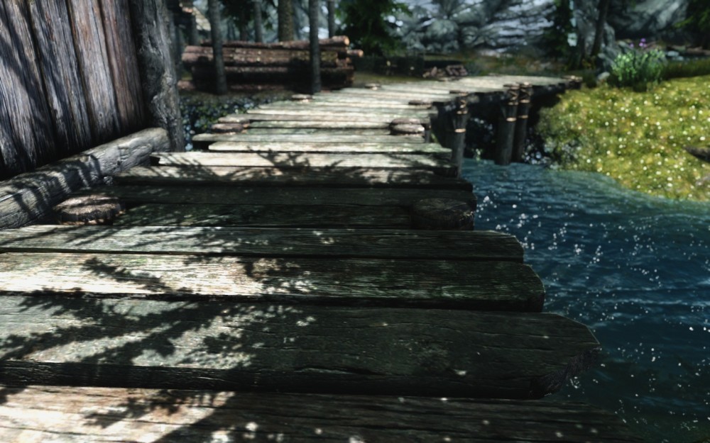 The Elder Scrolls V: Skyrim