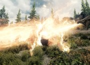 The Elder Scrolls V: Skyrim