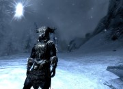 The Elder Scrolls V: Skyrim
