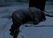 The Elder Scrolls V: Skyrim
