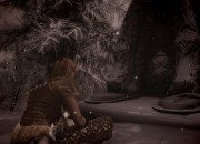 The Elder Scrolls V: Skyrim