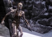 The Elder Scrolls V: Skyrim