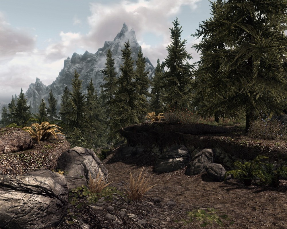 The Elder Scrolls V: Skyrim
