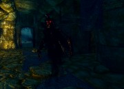The Elder Scrolls V: Skyrim