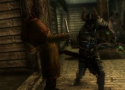The Elder Scrolls V: Skyrim