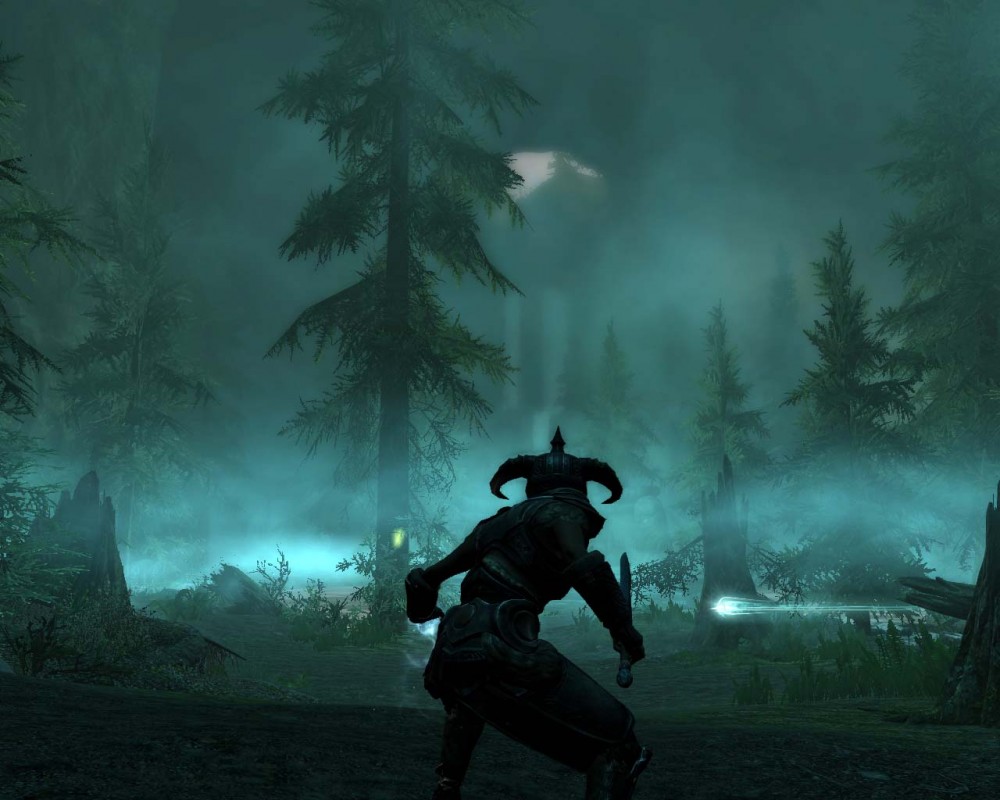 The Elder Scrolls V: Skyrim