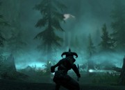 The Elder Scrolls V: Skyrim