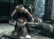 The Elder Scrolls V: Skyrim