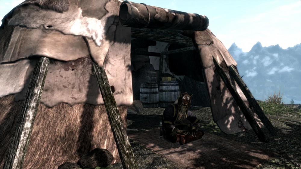 The Elder Scrolls V: Skyrim