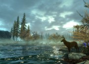 The Elder Scrolls V: Skyrim