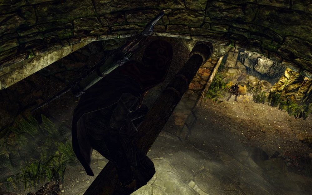 The Elder Scrolls V: Skyrim