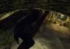 The Elder Scrolls V: Skyrim