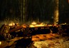 The Elder Scrolls V: Skyrim