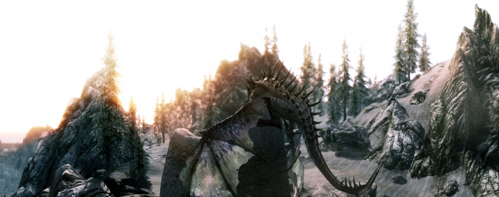 The Elder Scrolls V: Skyrim