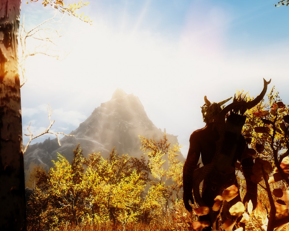 The Elder Scrolls V: Skyrim