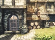 The Elder Scrolls V: Skyrim