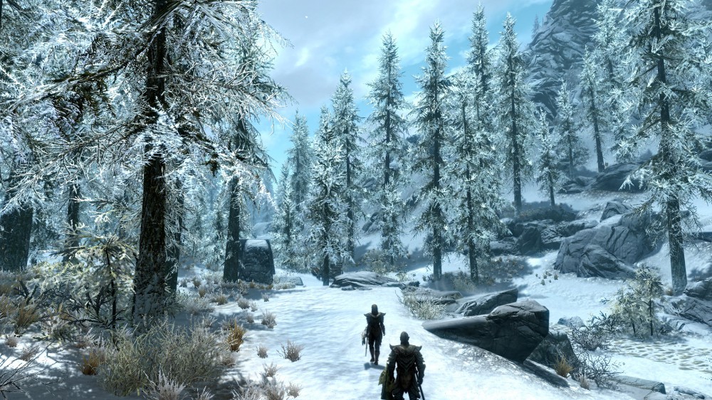 The Elder Scrolls V: Skyrim