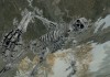 The Elder Scrolls V: Skyrim