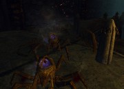 The Elder Scrolls V: Skyrim