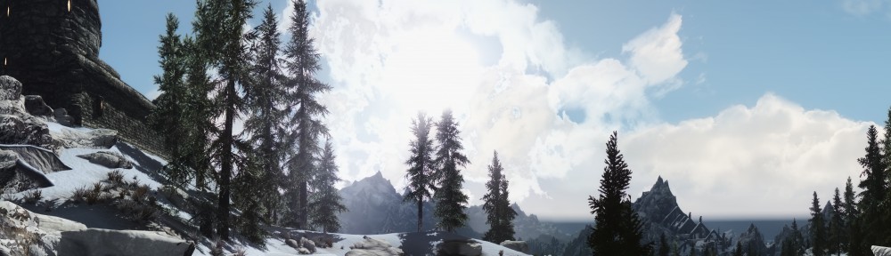 The Elder Scrolls V: Skyrim