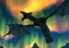 The Elder Scrolls V: Skyrim