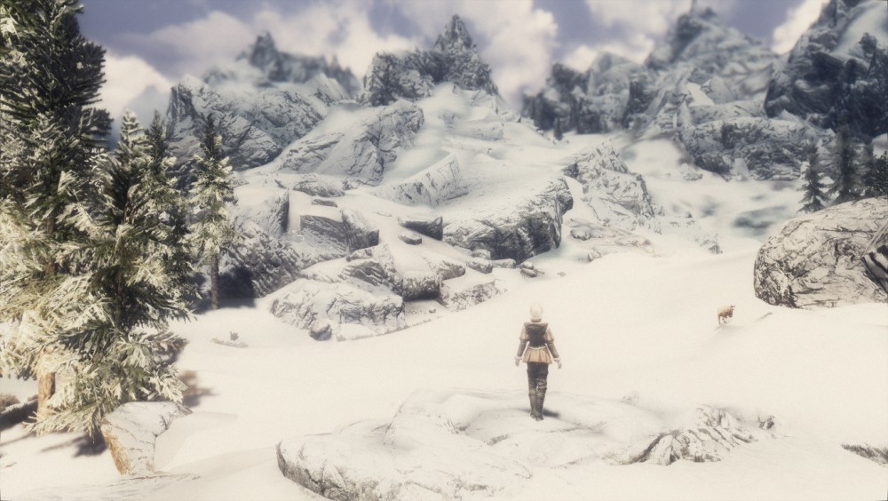 The Elder Scrolls V: Skyrim